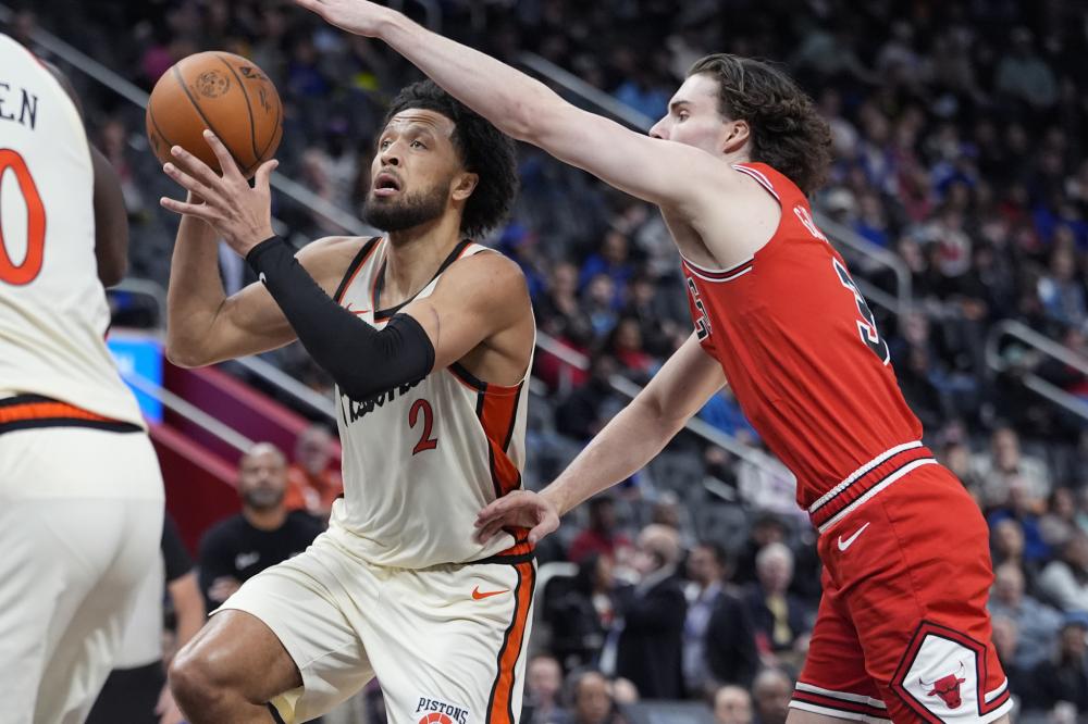 麦迪逊自加 麦迪逊自加