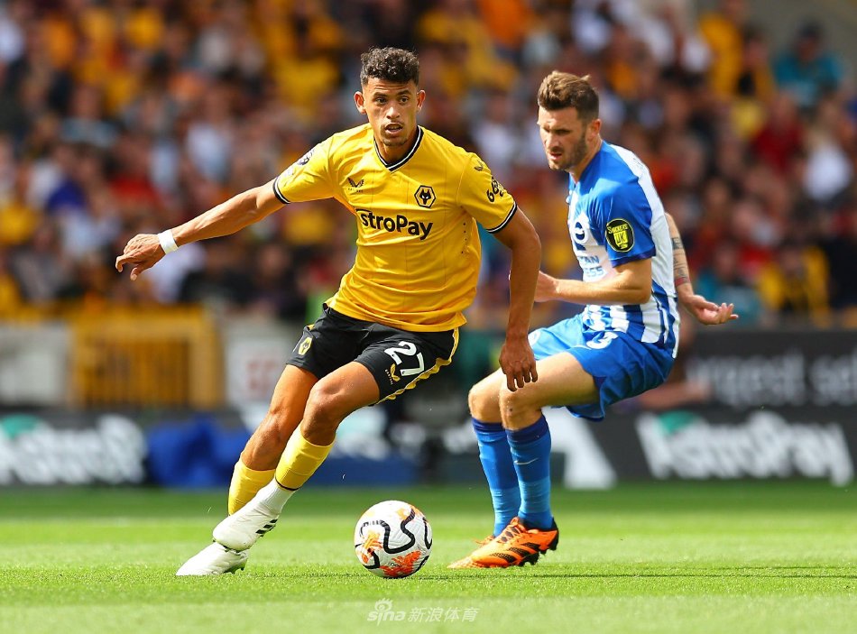 展保护篮筐 展保护篮筐