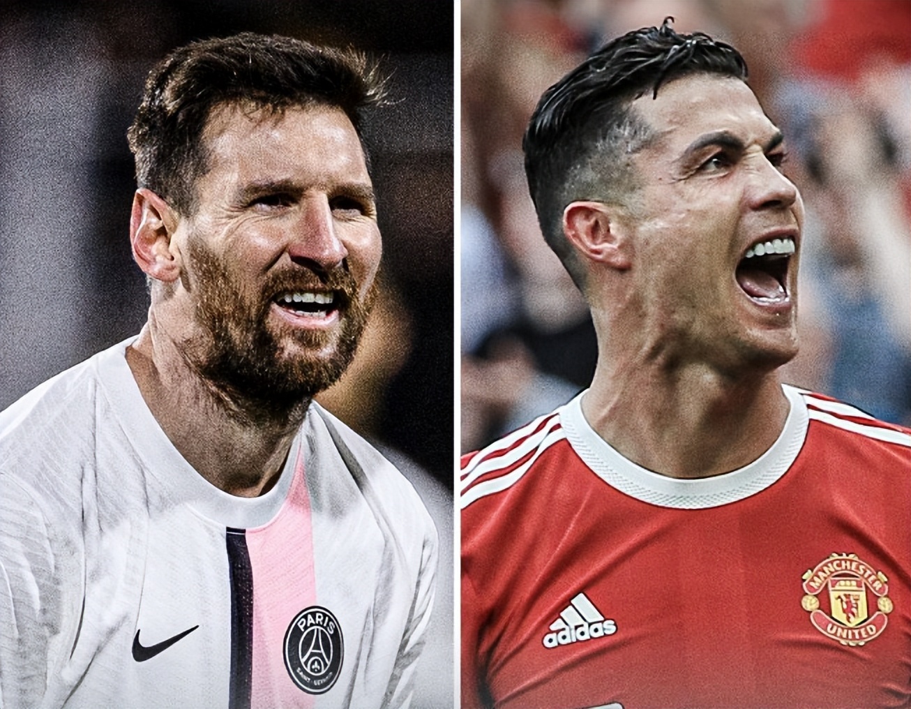 可能性极高 可能性极高